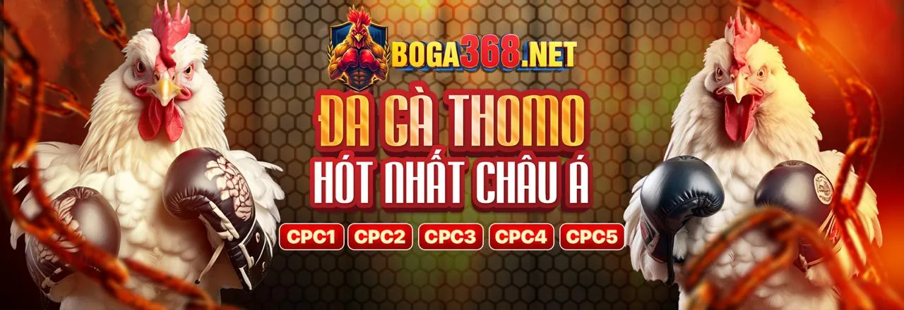 Trải nghiệm mượt mà, ổn định